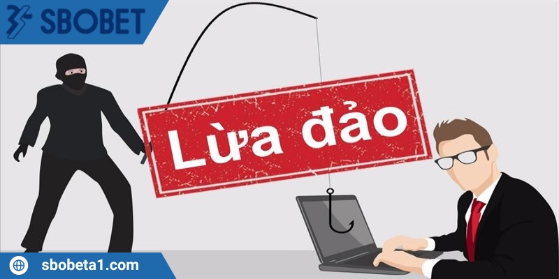 Người chơi cá cược đang kiểm tra thông tin nhà cái 